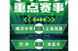 关于欧洲杯赛程吃紧，本菲卡转会期豪取连胜，值得警惕，团队化学反应显著的信息-九游体育app下载